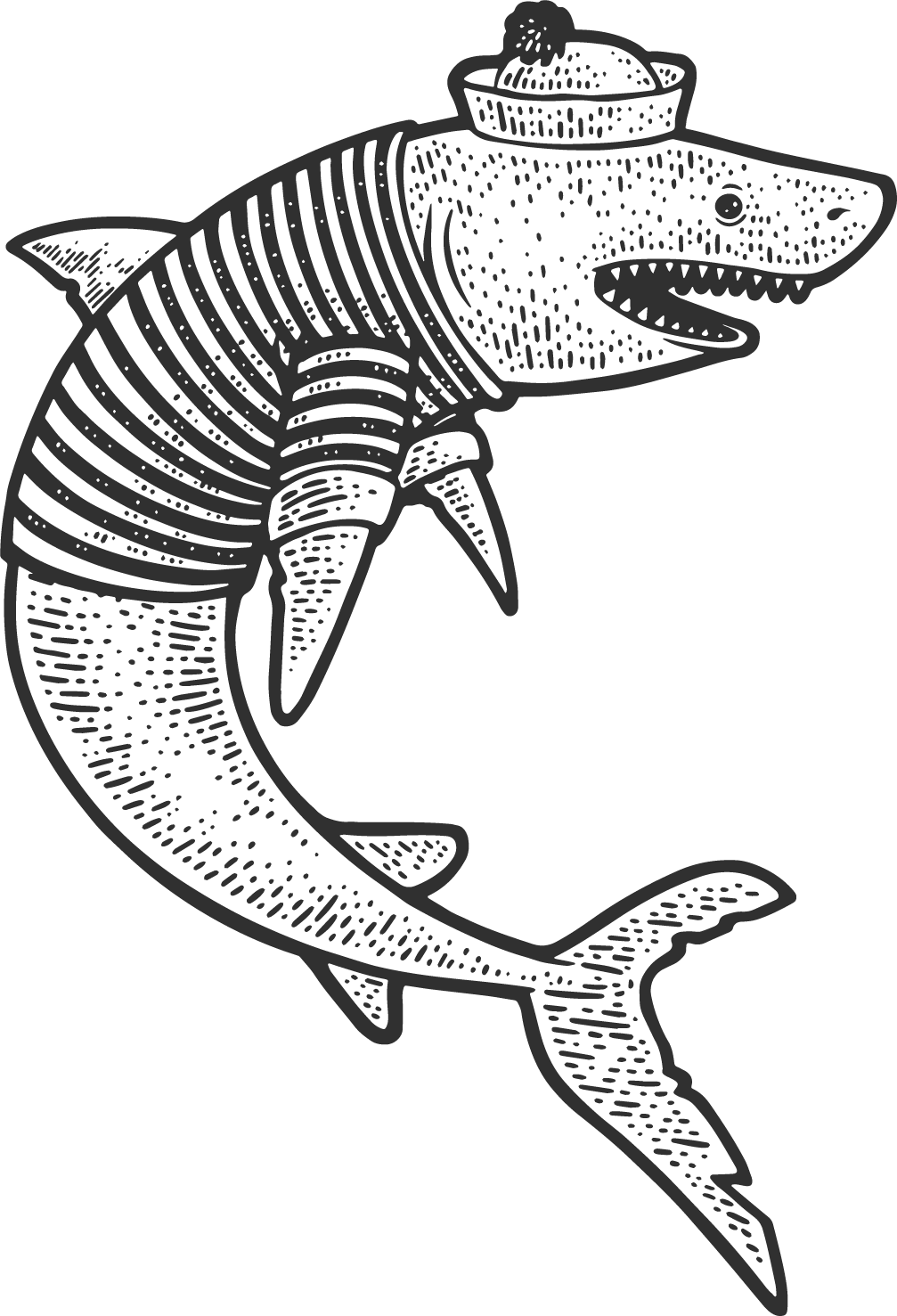 sailor shark sailor shark